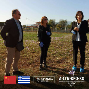 Read more about the article Τηλεπιθεώρηση Κίνας